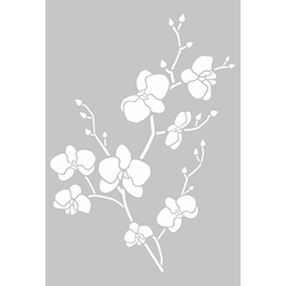 015034_0.png
