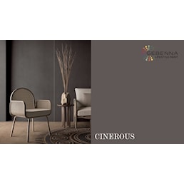 CINEROUS.jpg