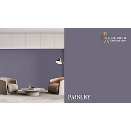 PAISLEY.jpg